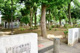 板谷公園の画像