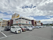 アピタ島田店