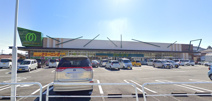 マミーマート 金子店