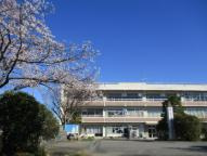 蓮田中央小学校の画像
