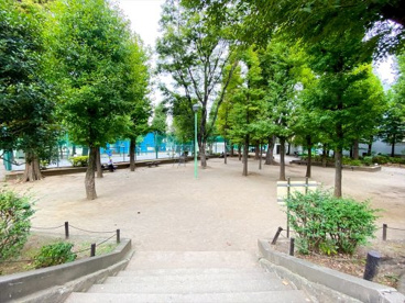 竹早公園の画像1