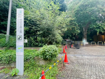 林試の森公園