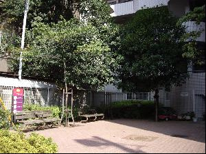 八丁通り公園の画像1