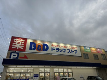 B&Dドラッグストア 小牧西之島店