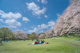砧公園の画像