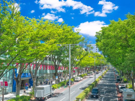 表参道駅の画像