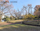 桜美林公園の画像