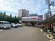 スギ薬局 二条店の画像