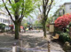 南青山六丁目児童遊園の画像