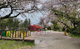 杉並区立玉川上水第三公園の画像