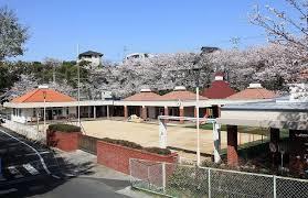 わかみや保育園の画像1