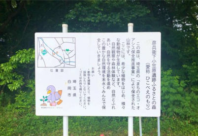 ひこべえの森の画像1