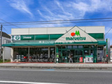 マルエツ 大成店