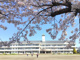 みどりが丘小学校の画像