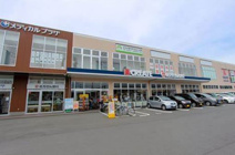 クリエイト薬局秦野大秦町店