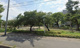 本庄公園の画像