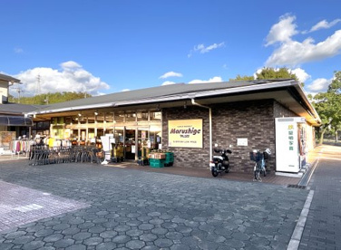 マルシゲ【洛西福西店】の画像1
