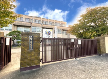 向島東中学校の画像1