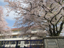 小学校 小金井市立小金井第四小学校