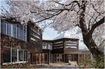 まなびの森保育園三鷹新川