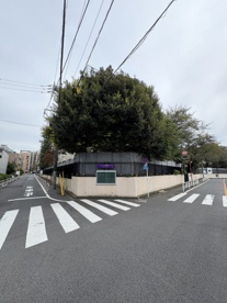 渋谷区立広尾中学校の画像1