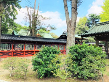 根津神社の画像3
