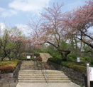 世田谷区羽根木公園