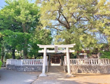 寺院・神社 岩戸八幡神社
