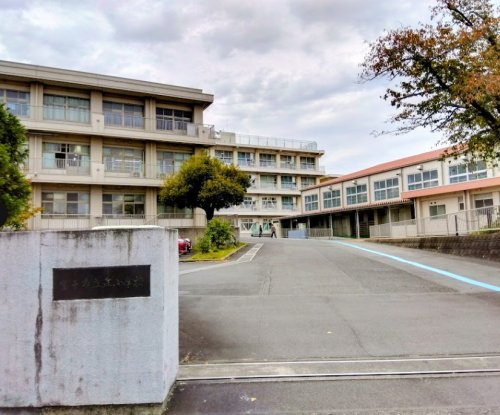 富士市立丘小学校の画像