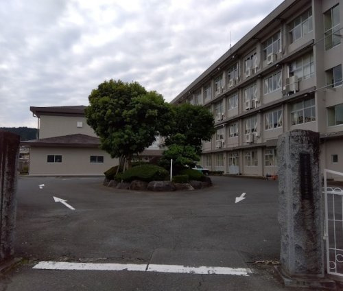 の画像