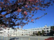 世田谷区立等々力小学校の画像