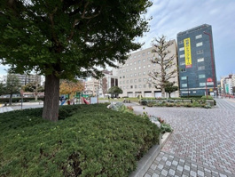 日ノ出川公園