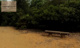 香里ケ丘東公園の画像