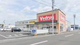 V・drug 領下店
