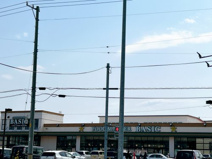 BASIC駒場店