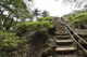 都立戸山公園箱根山地区の画像
