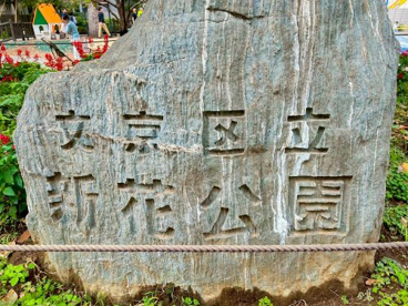 文京区立新花公園の画像2