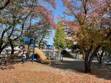 芦山公園の画像1