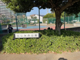 ふじみの公園
