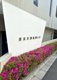 東京交通短期大学の画像1