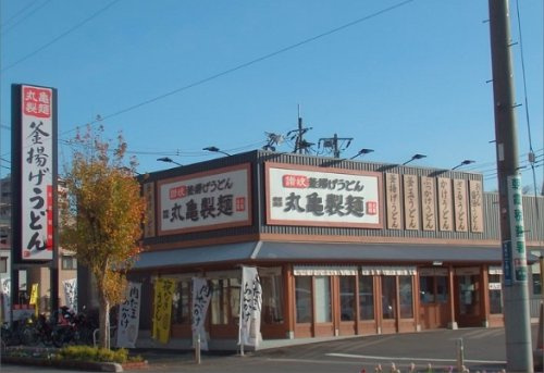 の画像