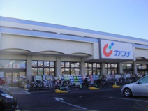 カワチ薬品 新田駅前店