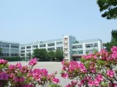 中瀬中学校の画像1