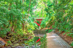 等々力渓谷公園の画像