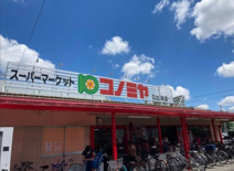 コノミヤ 日比津店