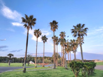 神奈川県立辻堂海浜公園