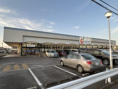 カワチ薬品 荒川沖店の画像