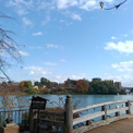 洗足池公園