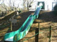 中央公園の画像