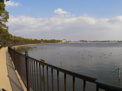 公園 瑞ケ池公園